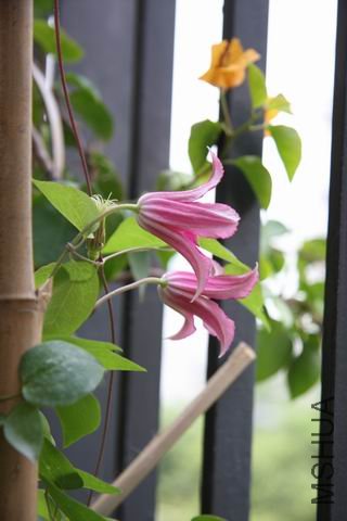 ������С ��Ƭ 024.jpg