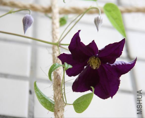 ������С ��Ƭ 026.jpg