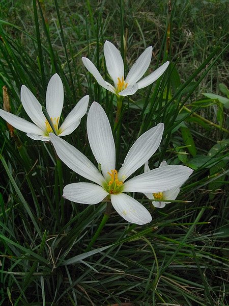 RIMG0101.jpg