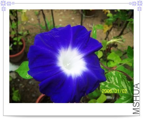 ��֮�� 016.jpg