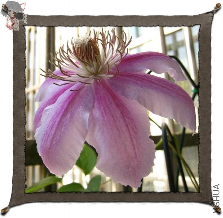 2009-04-30 ��������.jpg