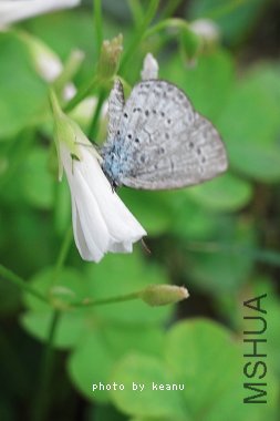 R1102471.jpg