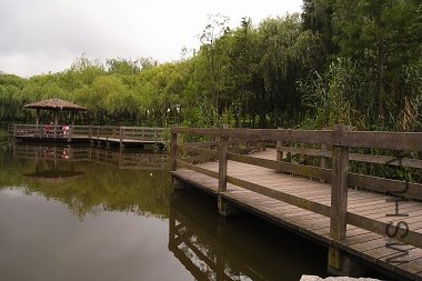 R1102428.jpg