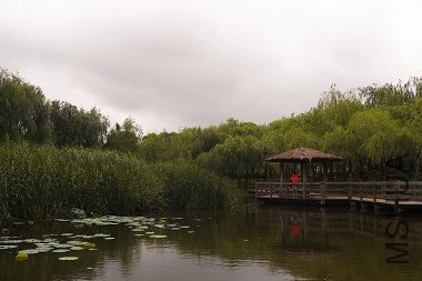 R1102427.jpg