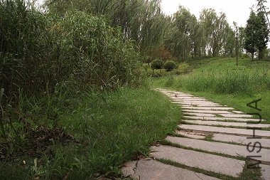 R1102430.jpg