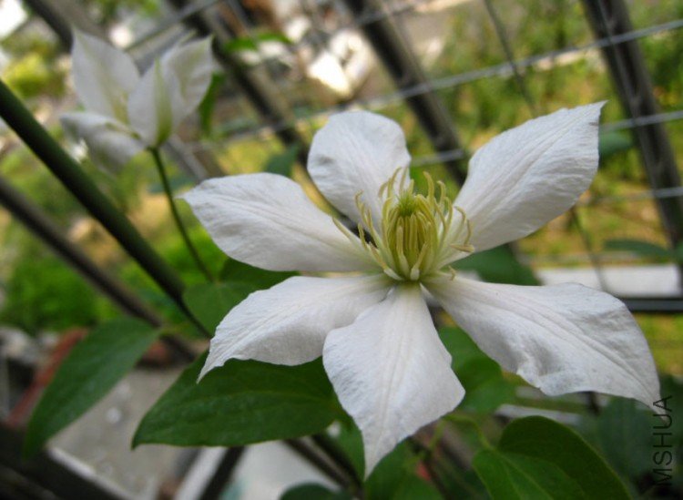 2009-06-07 �����¿�.jpg