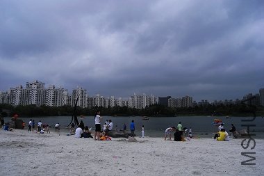 R1102462.jpg
