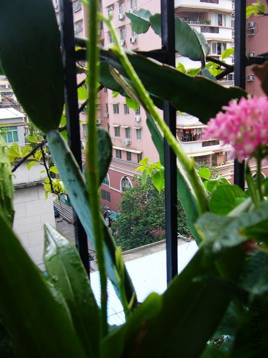 ������֦