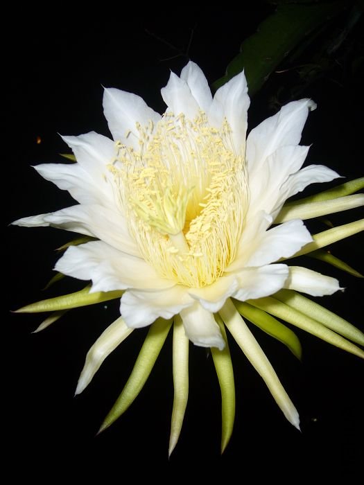 ��Ƭ09 073.jpg