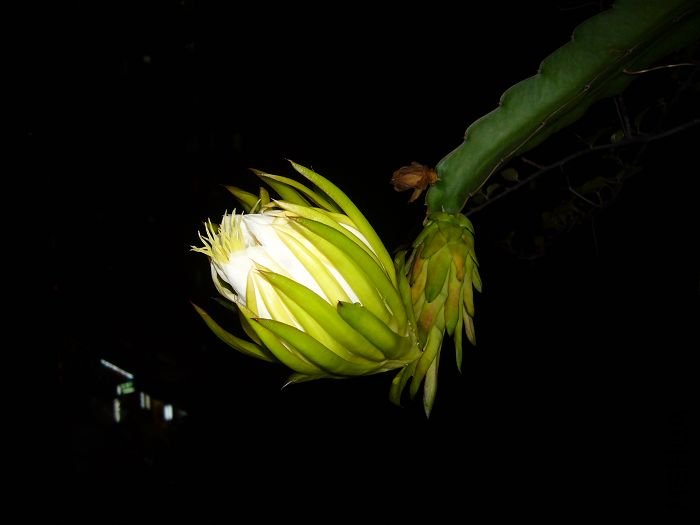 ��Ƭ09 066.jpg