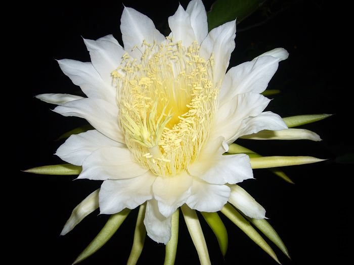 ��Ƭ09 069.jpg