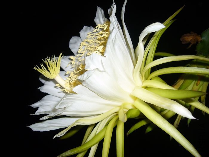 ��Ƭ09 0701.jpg