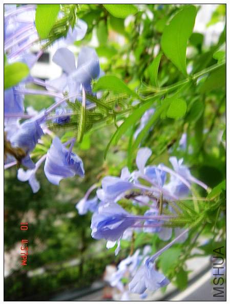 nEO_IMG_DSC09482.jpg
