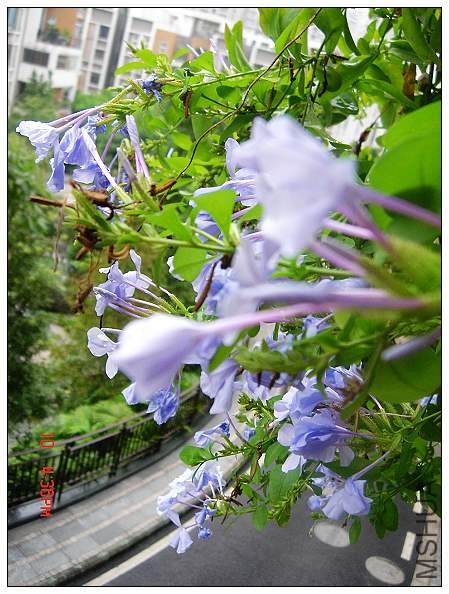 nEO_IMG_DSC09480.jpg