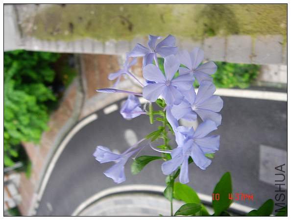 nEO_IMG_DSC09481.jpg