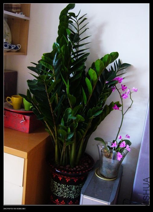 ������ȫ����