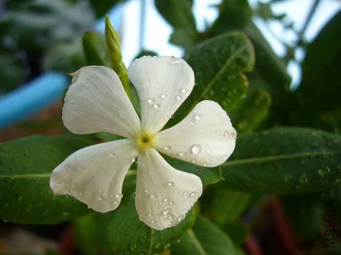 ��Ƭ09 134.jpg