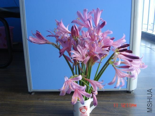DSC00004.JPG