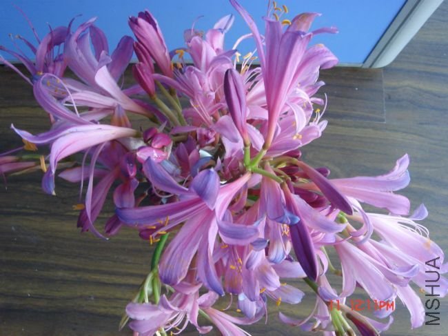 DSC00005.JPG