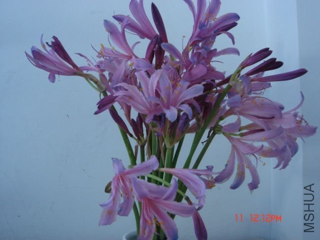 DSC00009.JPG