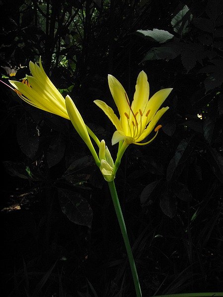RIMG0074.jpg