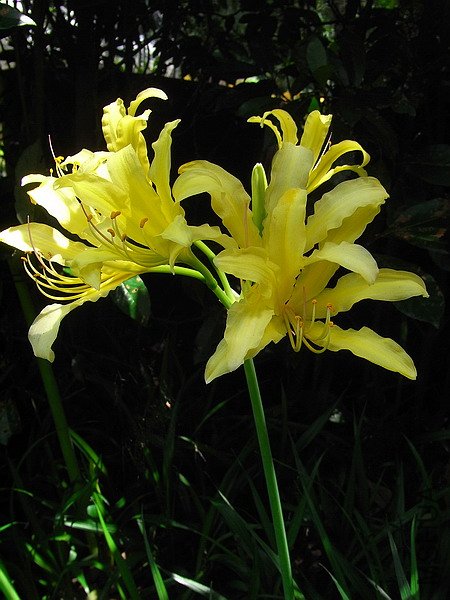 RIMG0075.jpg