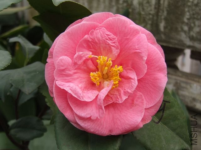 DSCF3840.jpg