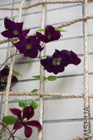 ������С ��Ƭ 013.jpg