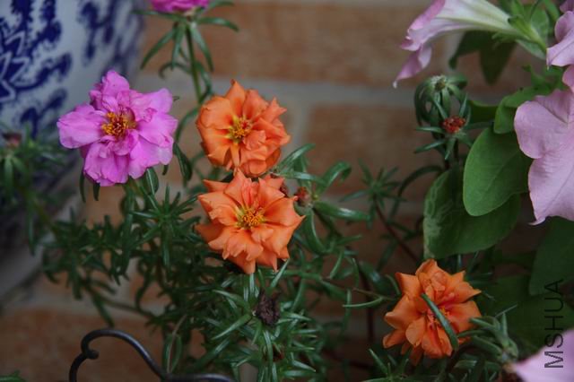 ������С ��Ƭ 015.jpg