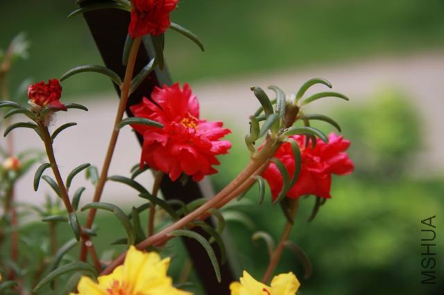 ������С ��Ƭ 002.jpg