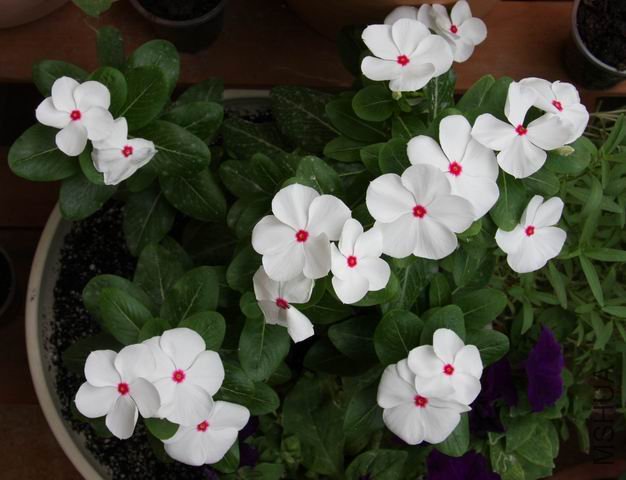 ������С ��Ƭ 004.jpg