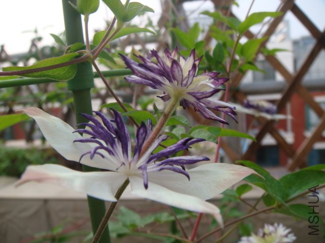 DSC00670.JPG