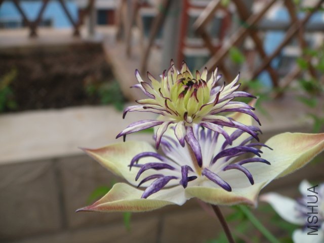 DSC00671.JPG