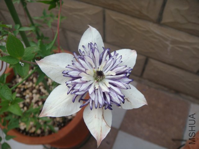 DSC00694.JPG