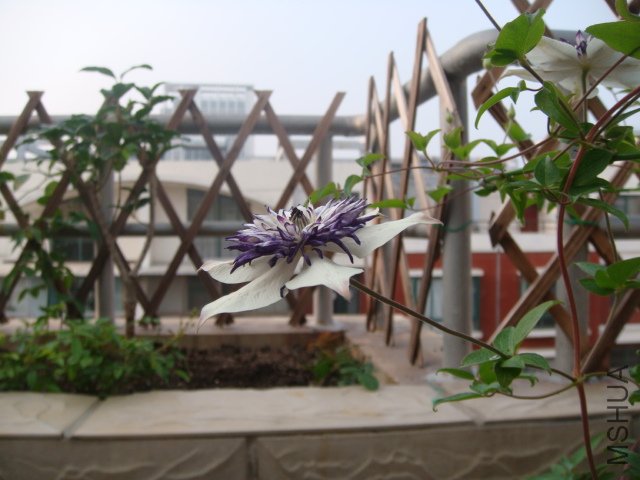 DSC00669.JPG