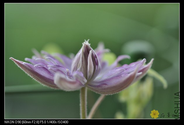 nEO_IMG_��Ƭ 084.jpg