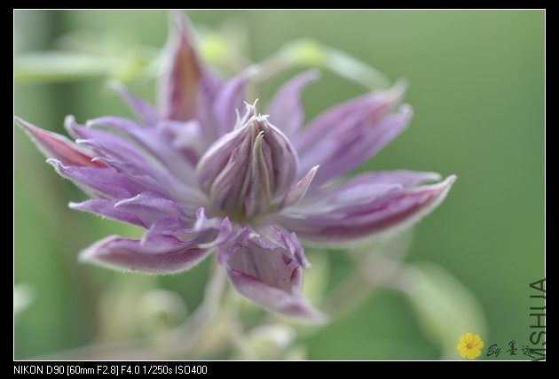 nEO_IMG_��Ƭ 089.jpg