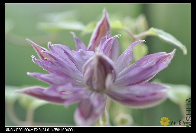 nEO_IMG_��Ƭ 088.jpg