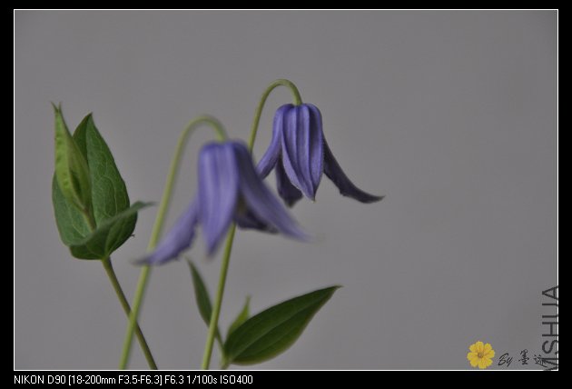 nEO_IMG_��Ƭ 077.jpg