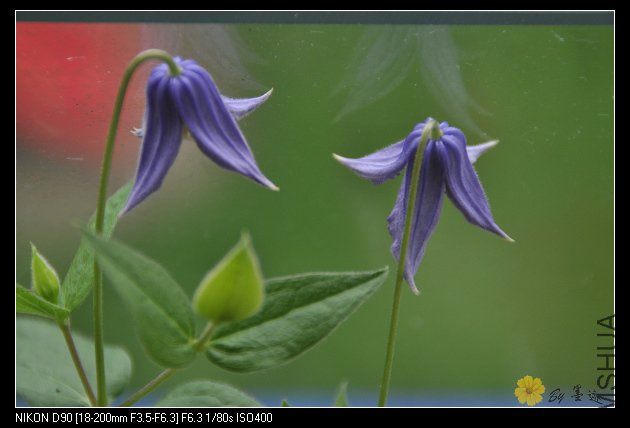 nEO_IMG_��Ƭ 081.jpg