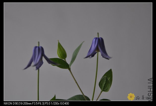 nEO_IMG_��Ƭ 075.jpg