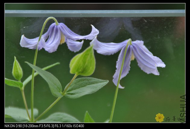 nEO_IMG_��Ƭ 082.jpg