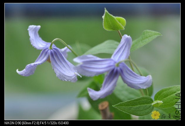 nEO_IMG_��Ƭ 086.jpg