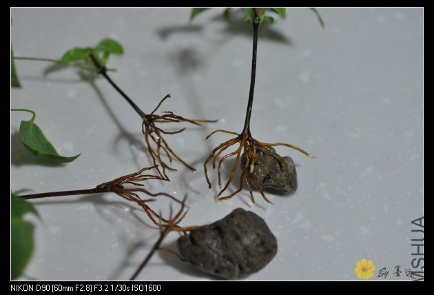 nEO_IMG_��Ƭ 023.jpg