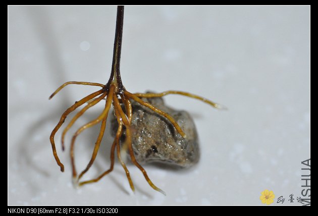 nEO_IMG_��Ƭ 024.jpg