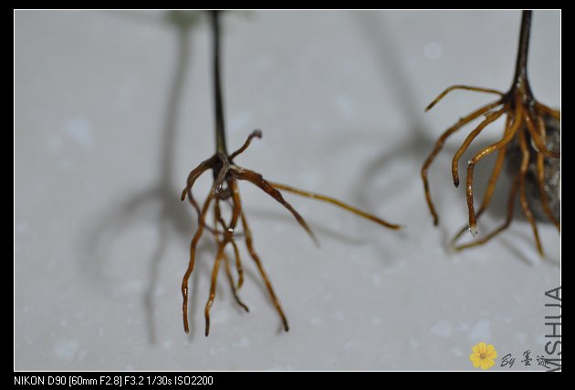 nEO_IMG_��Ƭ 025.jpg