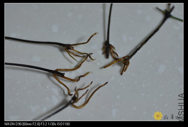 nEO_IMG_��Ƭ 028.jpg