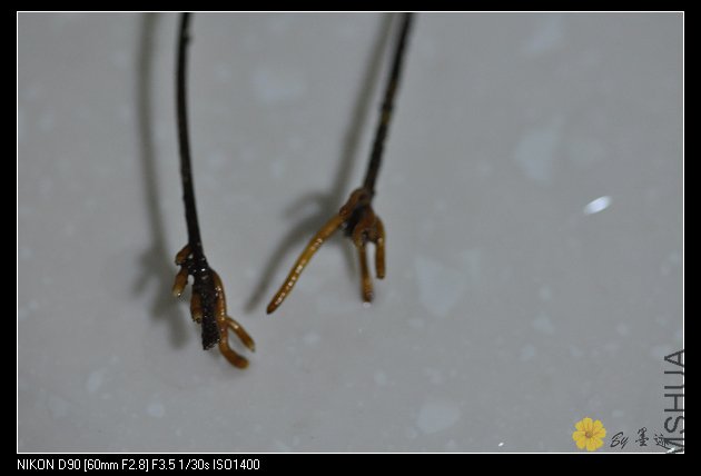 nEO_IMG_��Ƭ 026.jpg