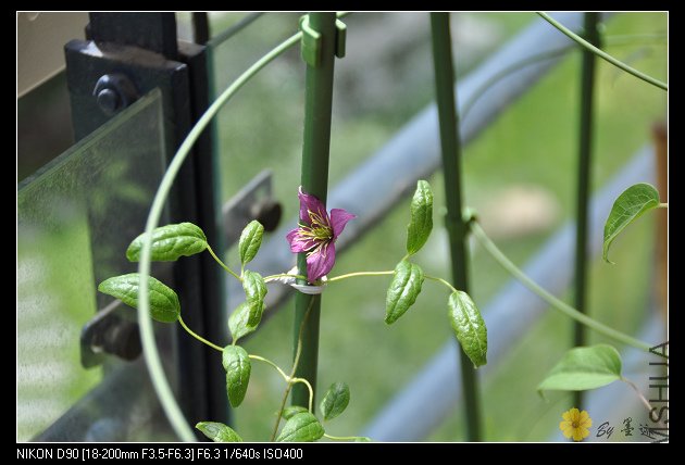 nEO_IMG_��Ƭ 073.jpg