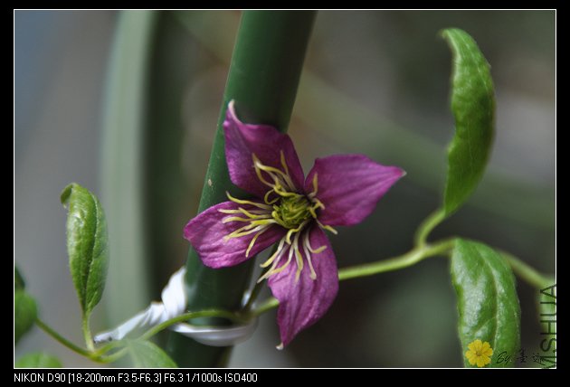 nEO_IMG_��Ƭ 072.jpg